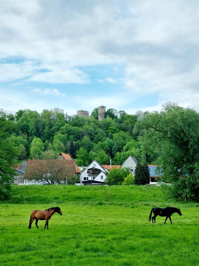 Ferienhaus Diemelaue Mit Klimaanlage Bad Karlshafen Extérieur photo